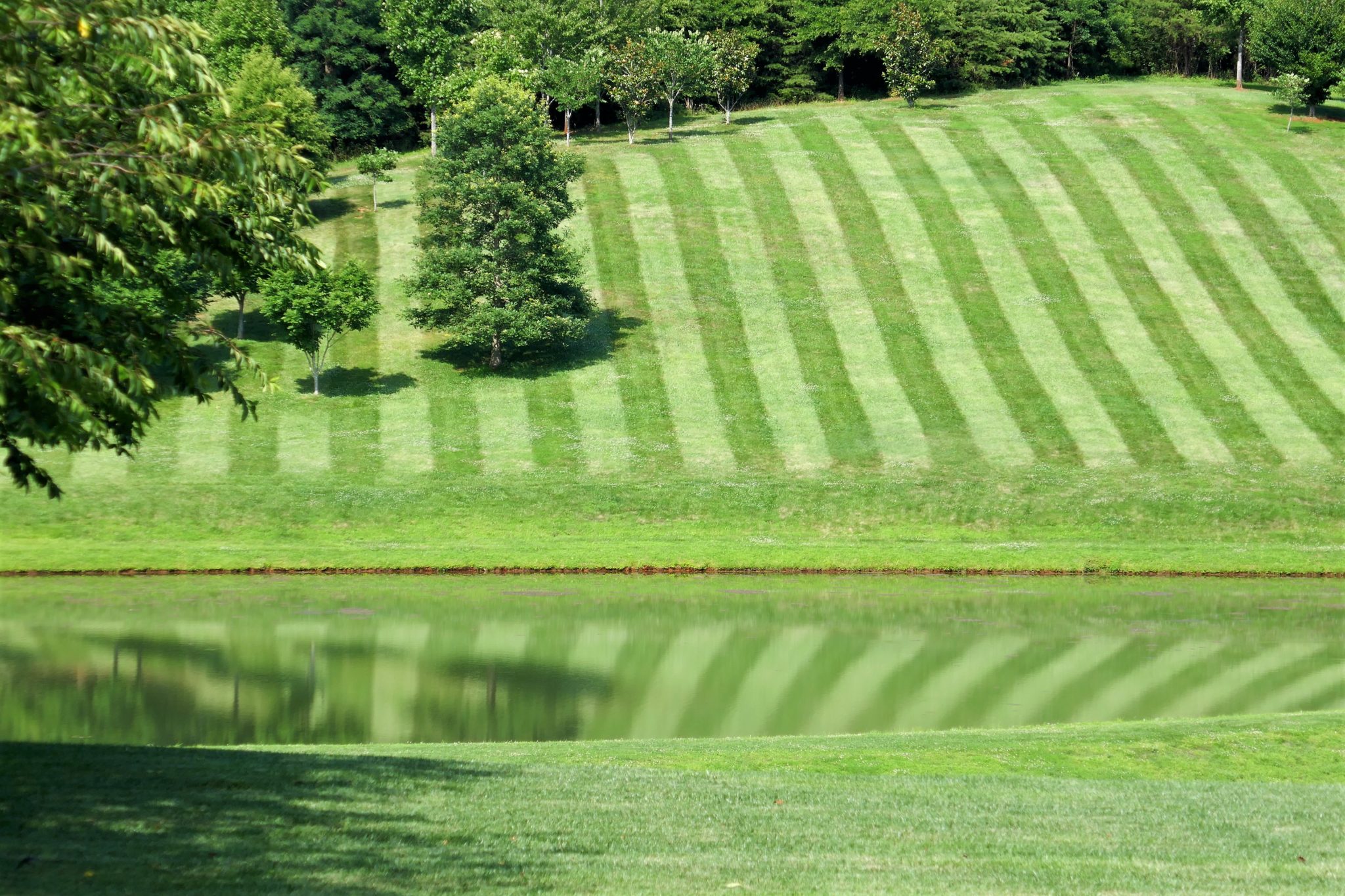 Dem Apfel auf der Spur –Castle Hill Cider - feinschmeckertouren.de